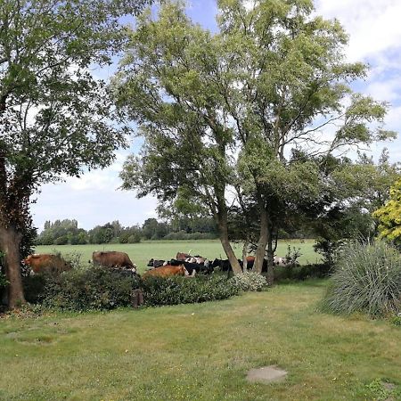 Vinkelaar 11 Villa Terschuur ภายนอก รูปภาพ