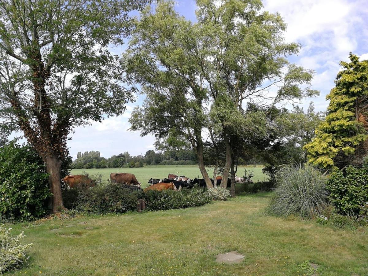 Vinkelaar 11 Villa Terschuur ภายนอก รูปภาพ